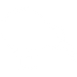 Kiwi Image