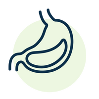 Stomach Image